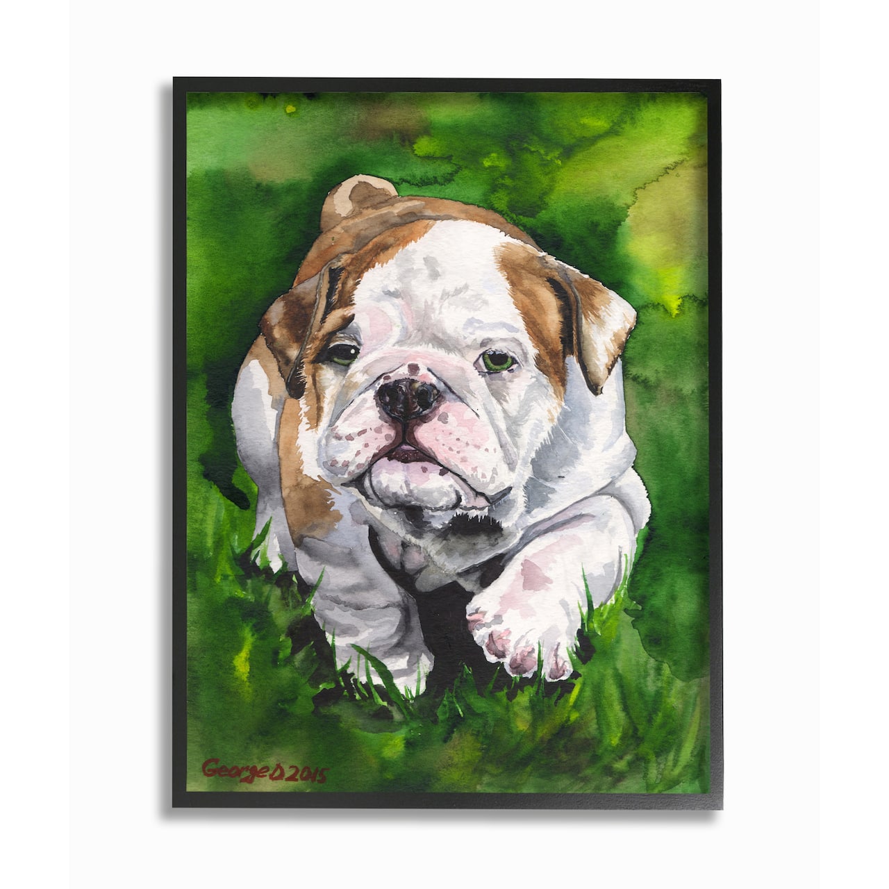Stupell Industries English Bulldog Watercolor Painting Wall Art in Black Frame